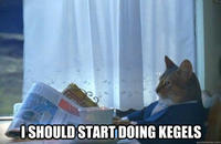 I Should Buy a Boat Cat