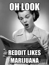 reddit
