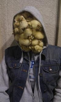 Duck Face