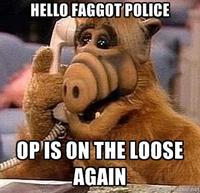 OP is a Faggot