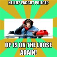 OP is a Faggot