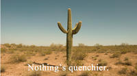 Cactus Juice