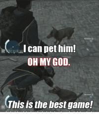 Assassin's Creed