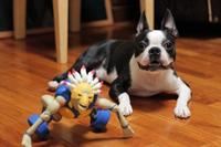 JoJo's Bizarre Adventure