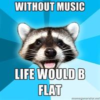 Lame Pun Coon