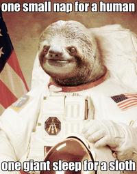Astronaut Sloth