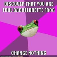 Foul Bachelorette Frog