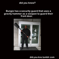 Did You Know?