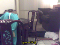 Descriptive Noise