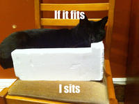 If It Fits I Sits