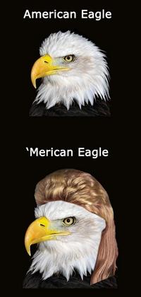 Name Puns