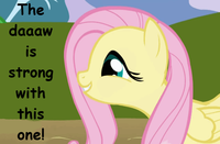 My Little Pony: Friendship is Magic