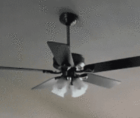 Some Men Just Want to Watch the World Burn