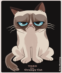 Grumpy Cat