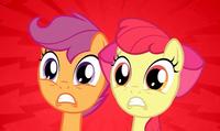 Pony Reactions