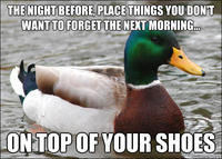 Actual Advice Mallard