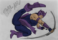 The Hawkeye Initiative