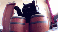 The Song of My People!