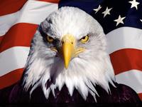 'Murica