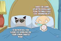 Grumpy Cat