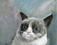 Grumpy Cat