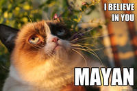 Grumpy Cat