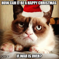 Grumpy Cat