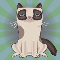 Grumpy Cat