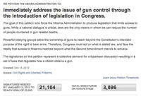 Sandy Hook Elementary School Shooting