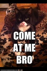 COME AT ME BRO
