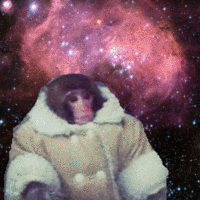 IKEA Monkey