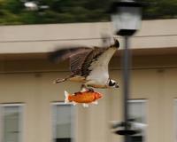 Perfectly Timed Photos