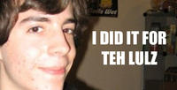 I Did It for the Lulz