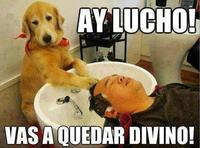 Oye Lucho, El perro del lucho