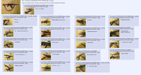 Rule 34