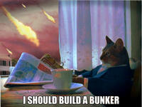 I Should Buy a Boat Cat
