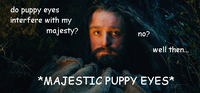 Majestic Thorin
