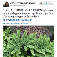 ConcernedMom420