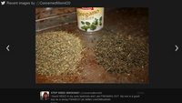 ConcernedMom420