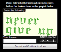 Lettuce / It Says "Never Give Up"