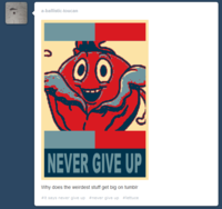 Lettuce / It Says "Never Give Up"