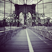 Lettuce / It Says "Never Give Up"