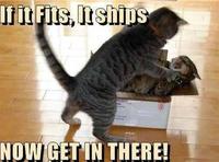 Shipping