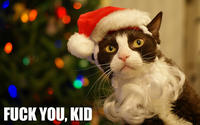 LOLcats