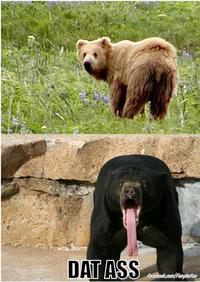 'Dat Ass