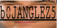 Bazinga