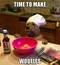 Dogs