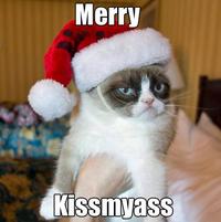 Grumpy Cat