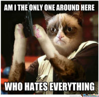 Grumpy Cat