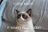 Grumpy Cat